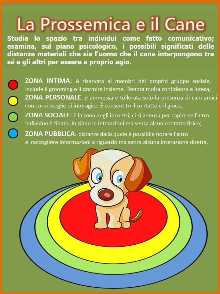 Feromoni del cane, come influenzano la comunicazione - Comunicare